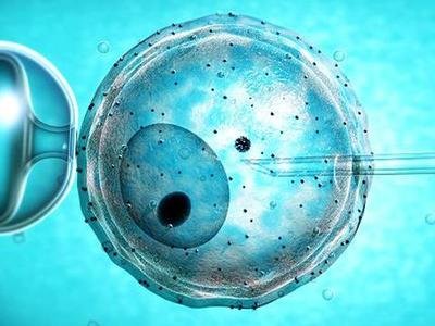 嘉运国际泰国试管：高性价比，高成功率之选。