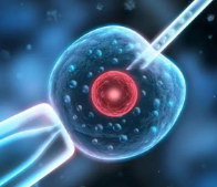 嘉运国际：三代试管阻断地中海贫血遗传