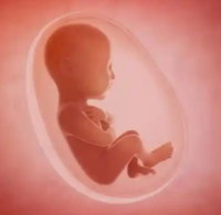 嘉运国际：科学备孕，事半功倍