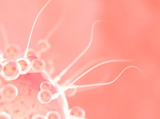 卵巢性不孕能不能选择试管婴儿医治