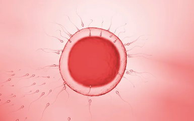 职场女性如何规划生育？嘉运国际谈冻卵与事业平衡