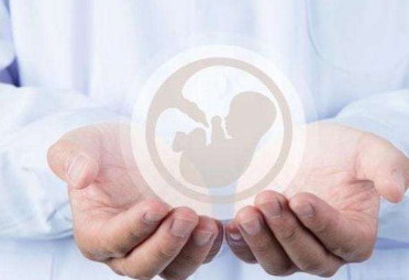 专业、靠谱、贴心——这就是嘉运国际。