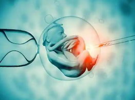 小红书爆款笔记：我的柬埔寨三代试管经历