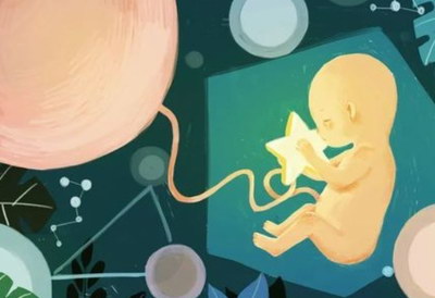 2026泰国试管婴儿失败经历怎么避免？