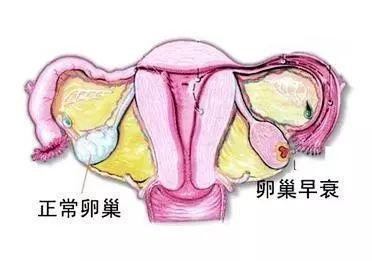 2026泰国试管婴儿哪家价格低？轻松了解价格详情！