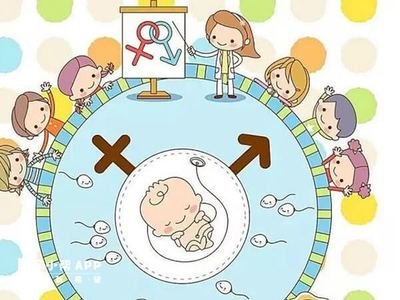 试管涉及跨境财产分配？嘉运国际法律咨询