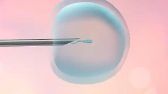 海外试管黑中介有哪些套路?嘉运国际揭秘