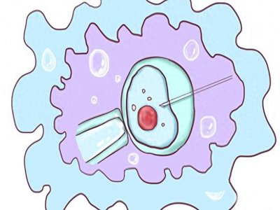 试管成功后如何面对过去？嘉运国际心理重建