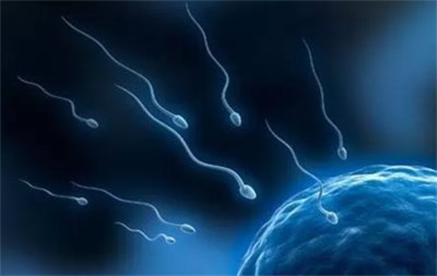 2026泰国三代试管婴儿成功率高吗？有多少？