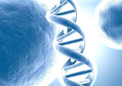 2026泰国试管婴儿移植价格多少