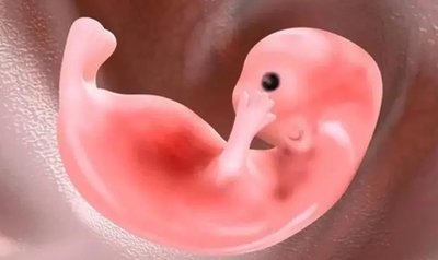 海外试管需要去几次？嘉运国际行程规划