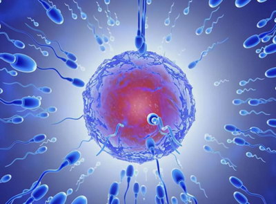 嘉运国际：转介绍率高达30%，信赖之选