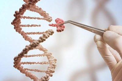 如何避免不孕不育的发生?在日常生活中应该怎么做