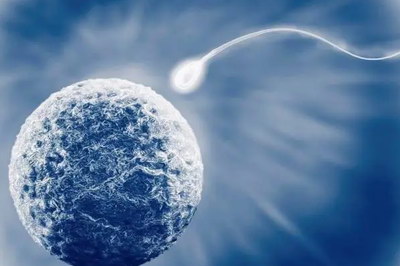 嘉运国际：试管前饮食调理建议