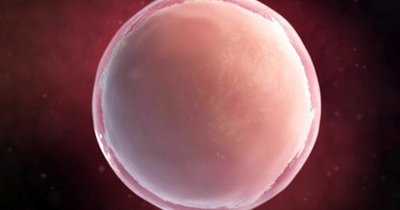 什么是卵巢早衰试管婴儿如何评估卵巢储备功用