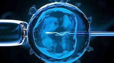 去2026泰国做试管婴儿的骗局有哪些呢?