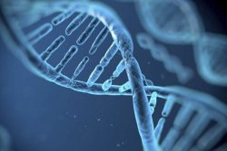 新年新希望：2025年试管备孕攻略