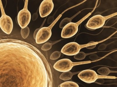 嘉运国际试管婴儿百科：您想知道的这里都有答案。