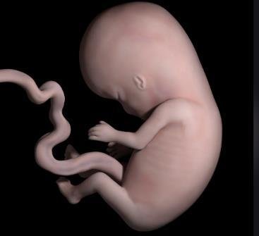 嘉运国际解析：海外试管的“高性价比”体现在哪里？