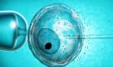 人工子宫未来能实现吗？嘉运国际科普