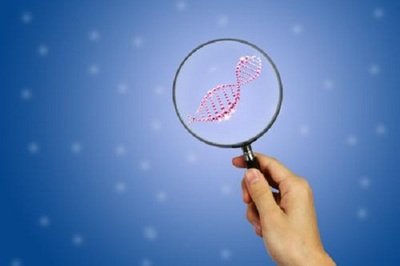 海外试管合同怎么签?嘉运国际专业指导