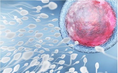 三八妇女节：致敬每一位勇敢追梦的妈妈