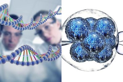 免费初诊评估：嘉运国际帮您预估总花费，避免超支。