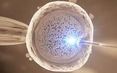 海外试管期间住宿怎么安排？嘉运国际贴心服务