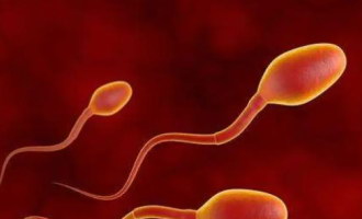 除了泰国，东南亚还有哪些试管选择？嘉运国际盘点柬埔寨、老挝。