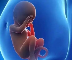 海外试管可以冷冻卵子吗？嘉运国际服务