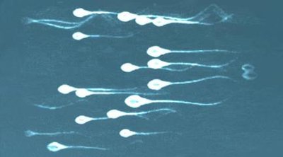 三代试管费用贵吗？嘉运国际对比国内价格