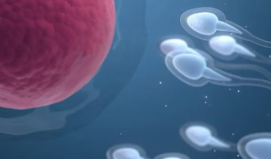 不孕不育选择人工授精是否会很疼