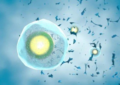 输卵管疾病导致不孕适合去直接做试管助孕吗