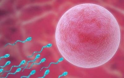 一次正确的选择，胜过千百次努力——选嘉运国际。