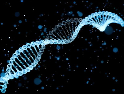 去泰国做试管婴儿，需要停留多长时间？