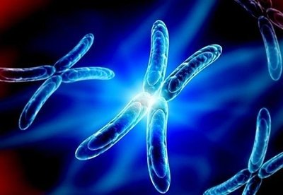 2026泰国做三代试管哪里好呢