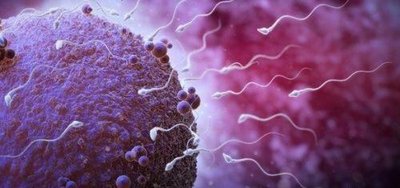 不孕症是如何诊断的？包括哪些方面的查看