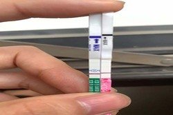 嘉运国际：生育自由，是基本人权