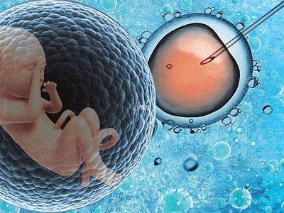 嘉运国际谈“生育终点”：我们如何帮助客户完成家庭构建的梦想