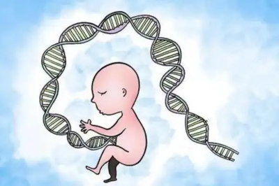 子宫内膜息肉对试管的影响及处理方法