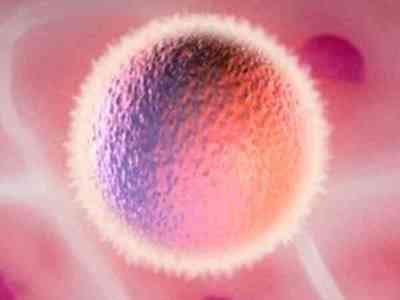 季节变化影响激素水平？嘉运国际动态监测