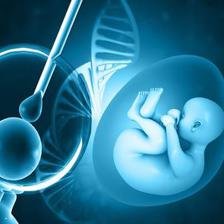 泰国试管婴儿要求子宫内膜厚度高不高？