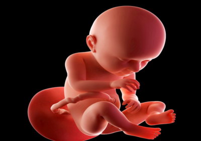 试管移植后的准妈妈们该如何遵循什么样的饮食习惯