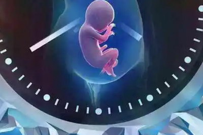 嘉运国际为您算笔账：海外试管费用与价值深度分析