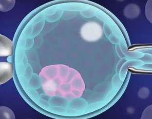 女性气血不足应该如何去调理