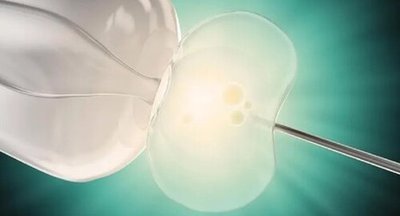 试管医治期间该如何补充身体所需养分