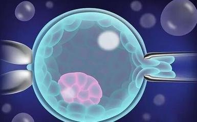 海外医疗新风尚：个性化试管服务——嘉运国际。