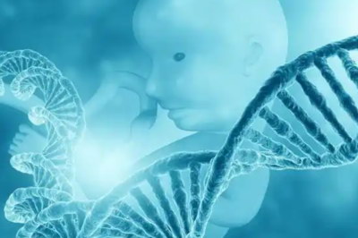 子宫内膜息肉对试管的影响及处理方法