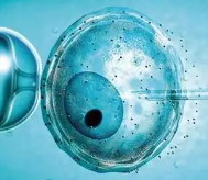 嘉运国际个性化促排：如何根据您的激素水平定制专属方案？