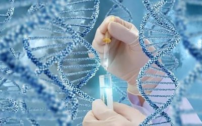 嘉运国际谈“生育终点”：我们如何帮助客户完成家庭构建的梦想